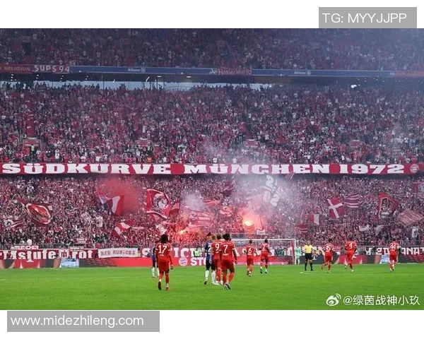 2019德甲经典对决拜仁慕尼黑与多特蒙德的巅峰之战回顾