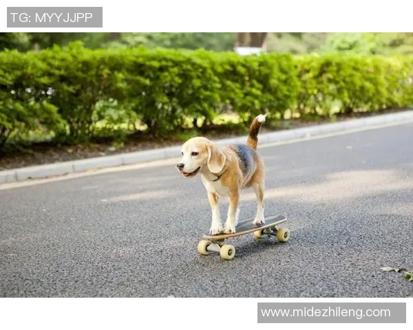 科学滑板中的心理素质训练技巧与方法探讨MBA